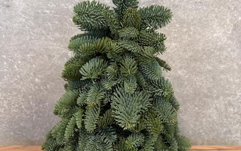 Елочка из нобилиса 30 см