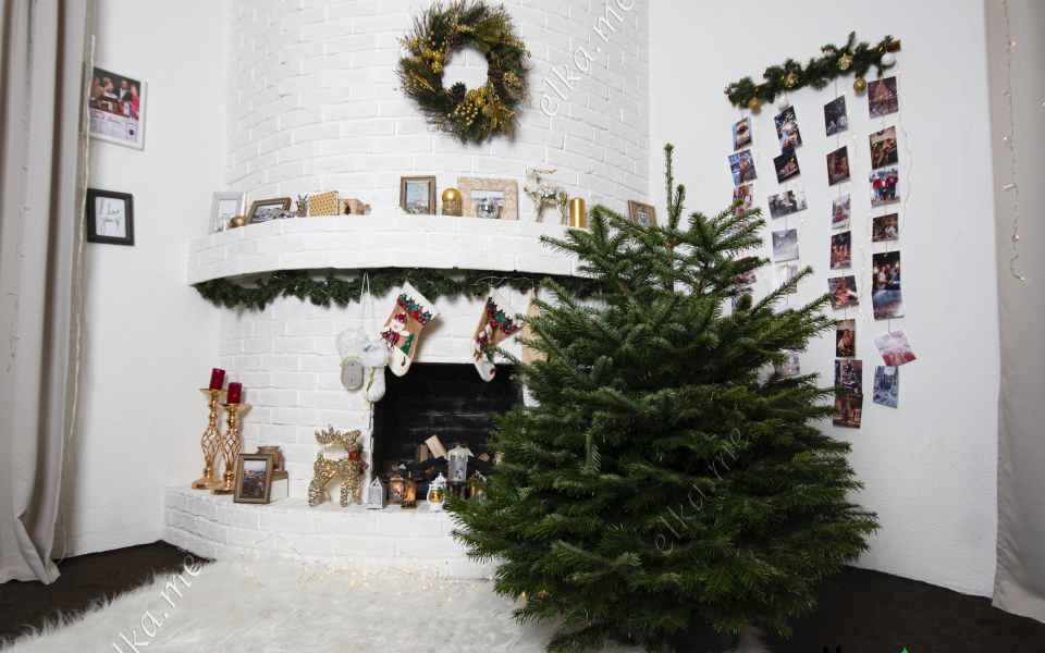 Датская елка (Пихта Нордмана)