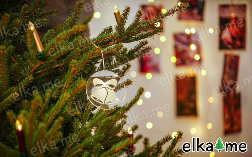 Живая русская елка