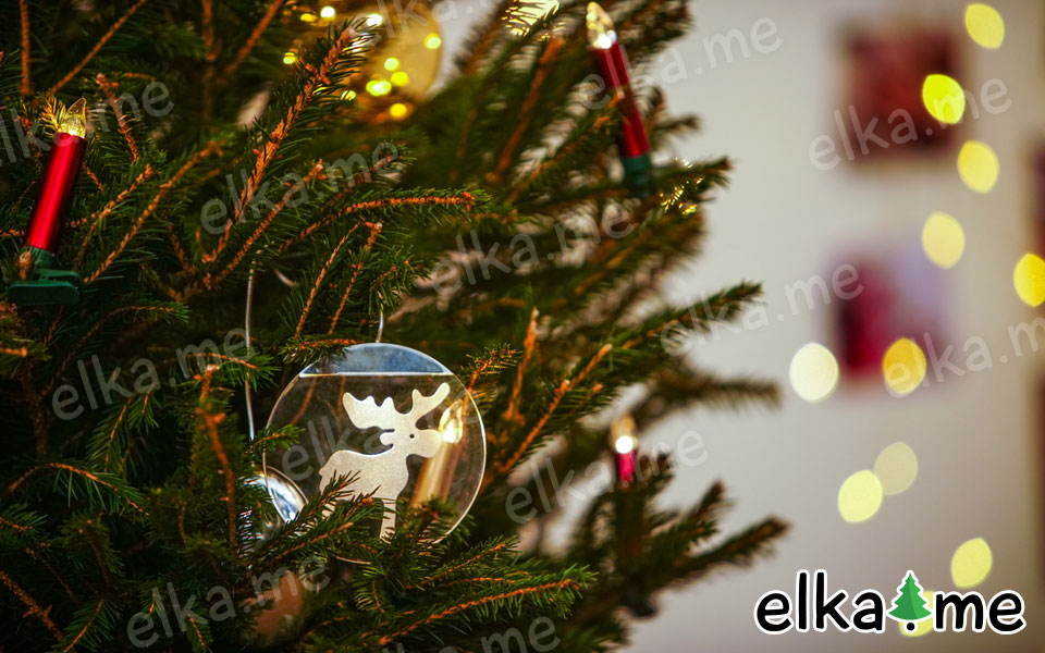 Живая русская елка