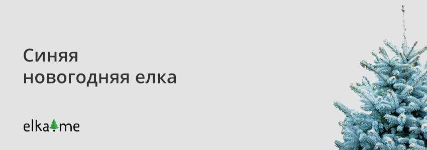 Синяя елка на Новый год
